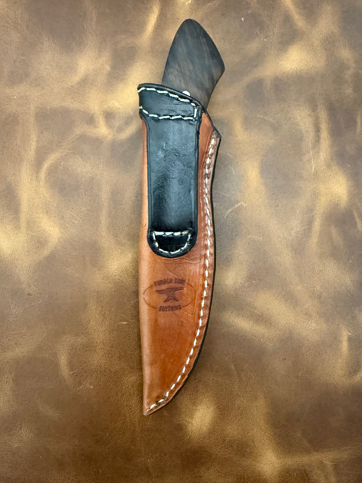 Talon Junior Sheath with Ulti Clip
